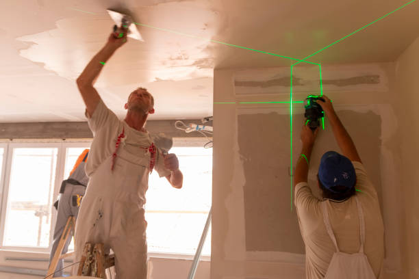 Best Drywall Removal and Disposal  in Robie Creek, ID